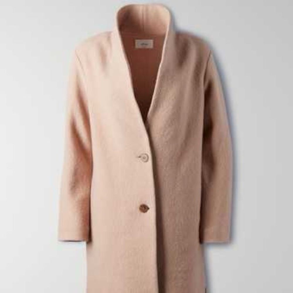 Aritzia Wilfred Dujardin coat